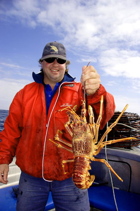 Horizon Deluxe Apartments - E Caravan Parks 15