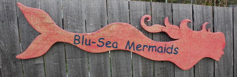 Mermaids Of Bicheno - E Caravan Parks 16