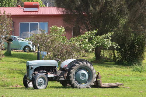 Cherry Top Farmstay - Boutique Eco Village - E Caravan Parks 25
