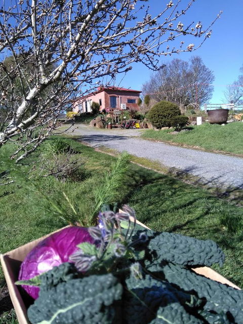 Cherry Top Farmstay - Boutique Eco Village - E Caravan Parks 23