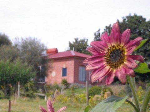 Cherry Top Farmstay - Boutique Eco Village - E Caravan Parks 27