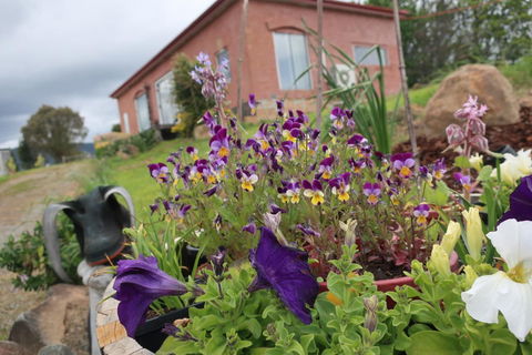 Cherry Top Farmstay - Boutique Eco Village - E Caravan Parks 7