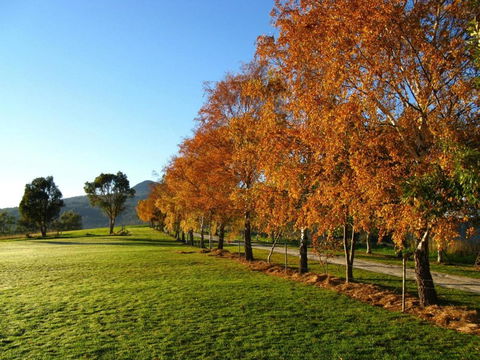 Plovers Ridge Country Retreat - E Caravan Parks 8