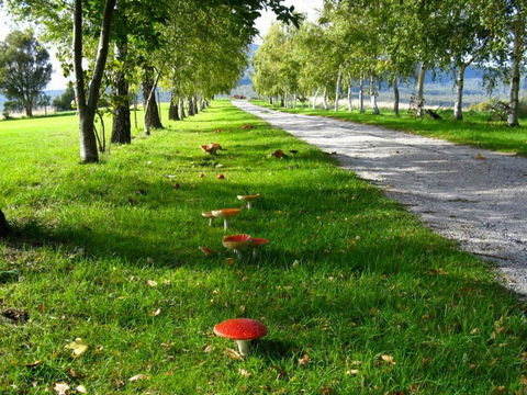 Plovers Ridge Country Retreat - E Caravan Parks 0
