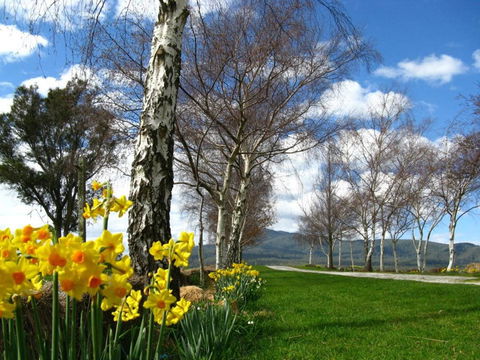 Plovers Ridge Country Retreat - E Caravan Parks 4
