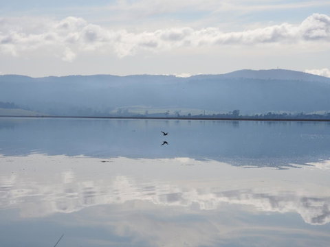 Tamar House - E Caravan Parks 30