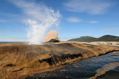 Suntrap Cove Bicheno - E Caravan Parks 30
