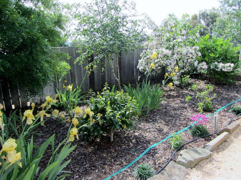 Elm Trees Accommodation @ Ross - E Caravan Parks 6