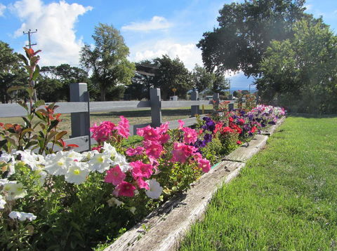 Elm Trees Accommodation @ Ross - E Caravan Parks 24