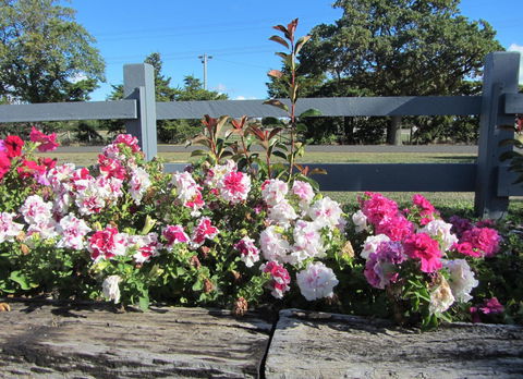 Elm Trees Accommodation @ Ross - E Caravan Parks 25