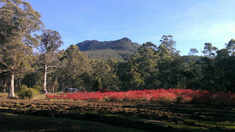 Mountain Blue Guest House - E Caravan Parks 23