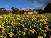 Book Golden Valley Accommodation Vacations E Caravan Parks E Caravan Parks