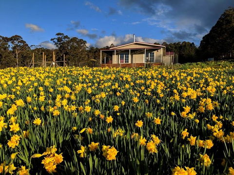 Mountain Blue Guest House - E Caravan Parks 0