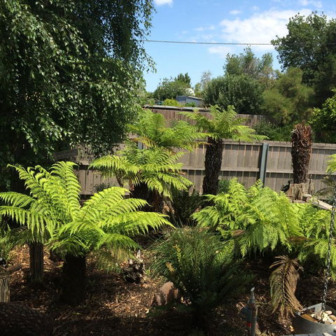 Pinestumps Holiday Home - E Caravan Parks 14