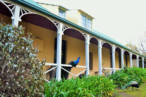 Cleburne Homestead - E Caravan Parks 29