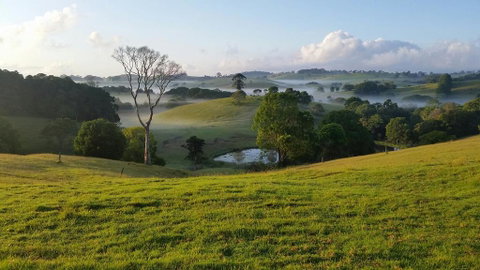 Newyan @ Maleny - E Caravan Parks 3