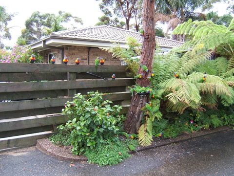 Ocean Drive Apartments - E Caravan Parks 3