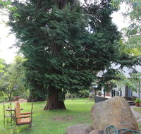 Olinda Country Cottages - E Caravan Parks