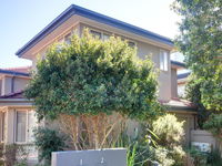 One Street Back from the Surf Beach