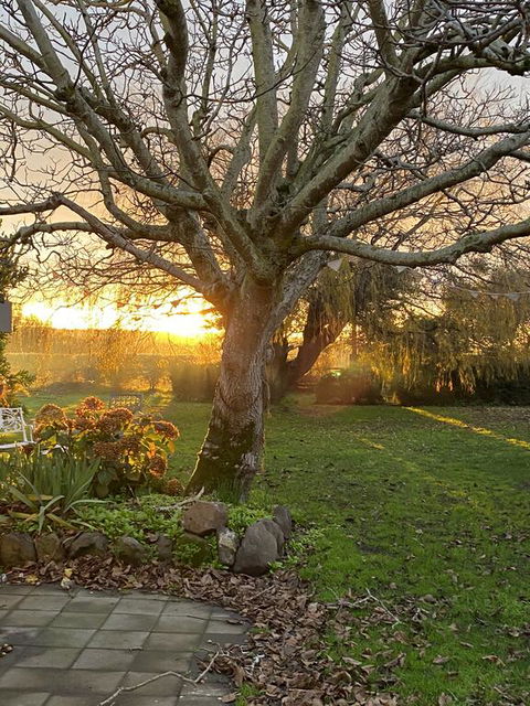 Peg Cottage - E Caravan Parks 0