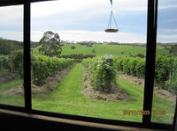 Book Murroon Accommodation Vacations E Caravan Parks E Caravan Parks