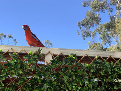 Pinnacle Views - E Caravan Parks 2