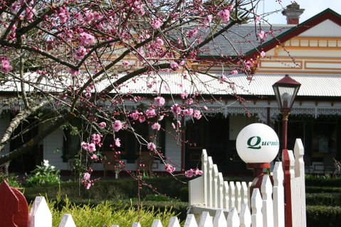 Quamby Homestead - E Caravan Parks 2
