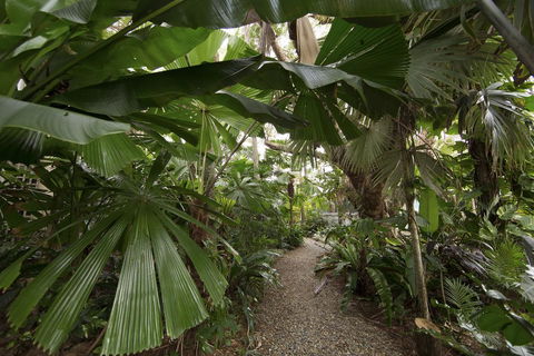 Rainforest Castaways Resort And Spa - E Caravan Parks 1