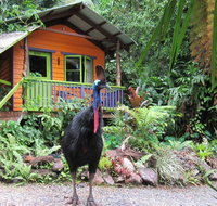 Rainforest Hideaway - E Caravan Parks