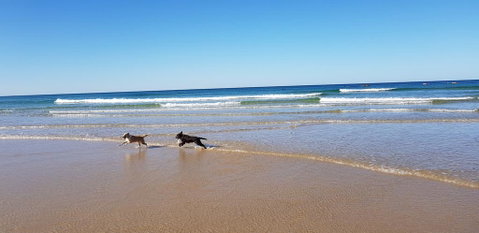 Red Door Beach House - Marcoola Beach - PET FRIENDLY, FOXTEL, WIFI, 500 BOND, Linen Supplied - E Caravan Parks 1