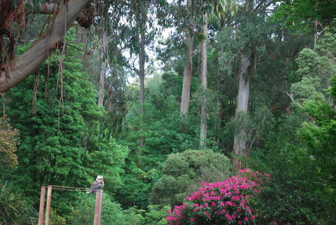 Rocky Creek Art Garden B&B - E Caravan Parks 2