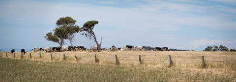 SALT - 37 Oceanview Drive - E Caravan Parks 2