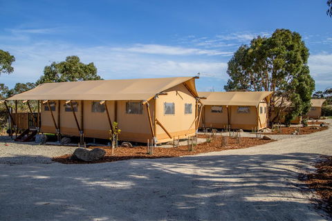 Scamander Sanctuary Holiday Park - E Caravan Parks 1