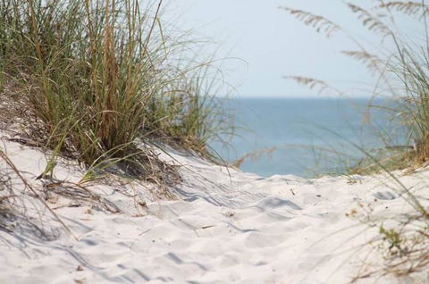Seas The Day - E Caravan Parks 0