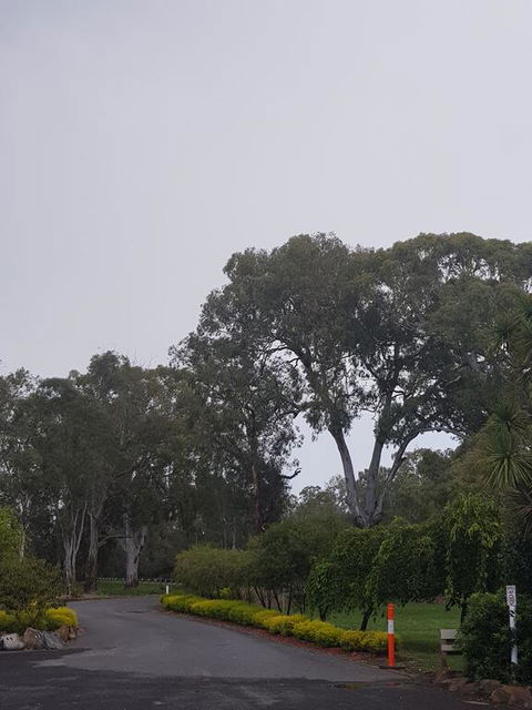 Seymour Motel - E Caravan Parks 3