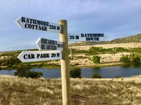 Book Hollow Tree Accommodation Vacations E Caravan Parks E Caravan Parks