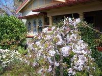 Book Katoomba Accommodation Vacations E Caravan Parks E Caravan Parks