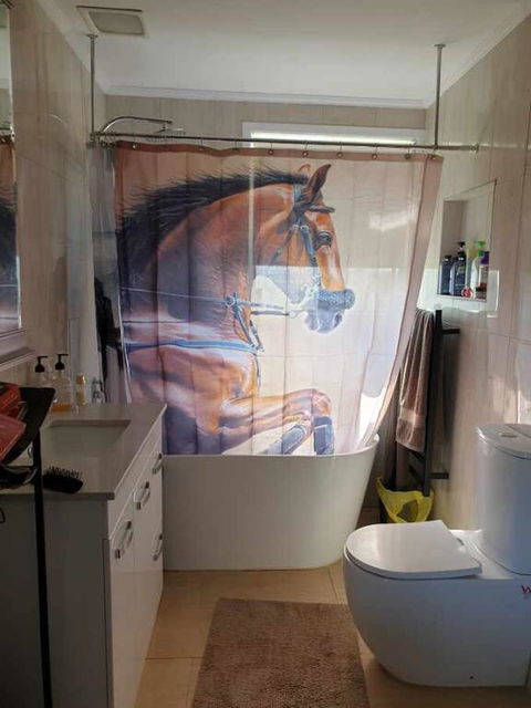 Silverbirch Cottage - E Caravan Parks 3