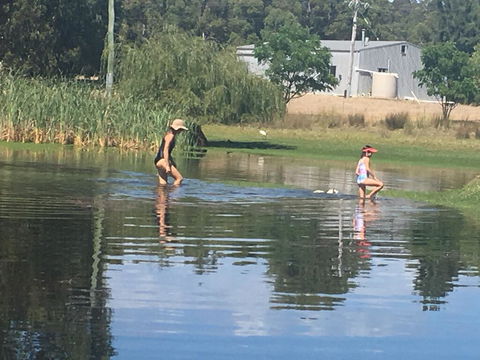 Something Different - E Caravan Parks 1