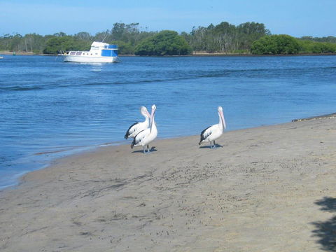 Stunning Holiday Townhouse - E Caravan Parks 3