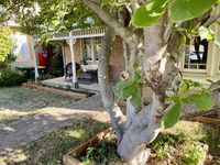 SUMMER HOUSE - CENTRAL LOCATION Near PARK