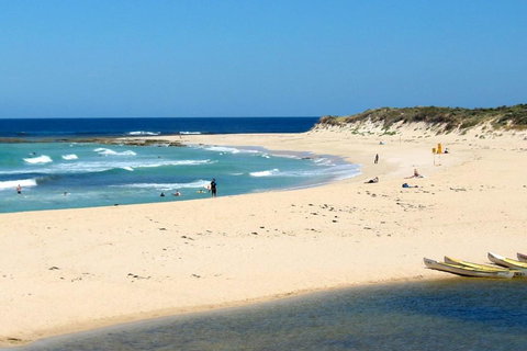 Tea Tree - E Caravan Parks 2