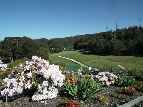 Harlea - E Caravan Parks 16