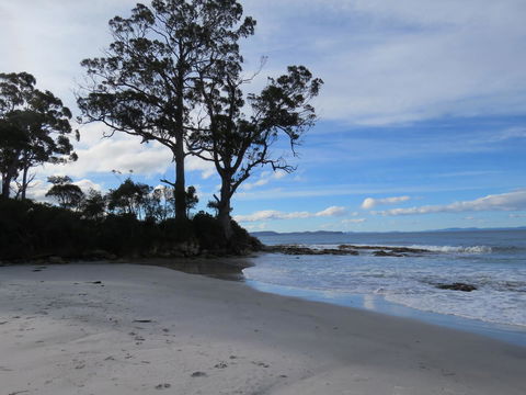 Captain Cook Holiday Park - E Caravan Parks 9
