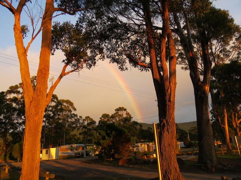 Captain Cook Holiday Park - E Caravan Parks 12