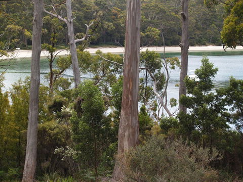 Stewarts Bay Lodge - E Caravan Parks 23