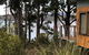 Stewarts Bay Lodge - thumb 4