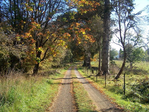 Drumreagh Cabins - E Caravan Parks 6