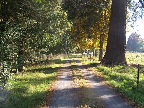 Drumreagh Cabins - E Caravan Parks 5