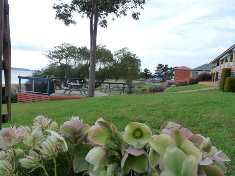 Swansea Motor Inn Tasmania - E Caravan Parks 17
